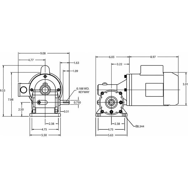 AC Gearmotor, 299.0 in-lb Max. Torque, 45 RPM Nameplate RPM, 115/208-230V AC Voltage, 1 Phase