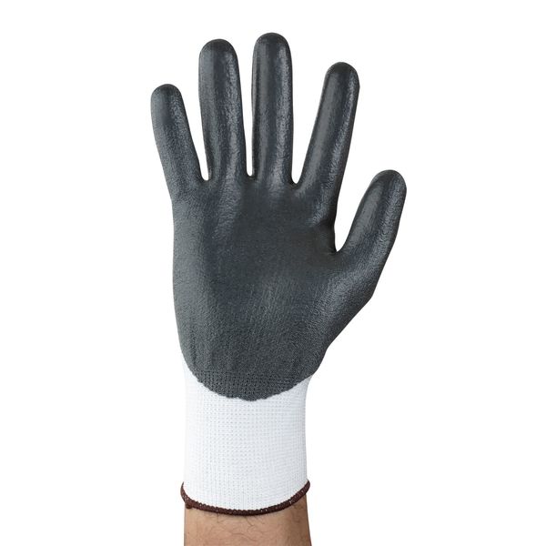 Cut Resistant Coated Gloves, A2 Cut Level, Polyurethane, XL, 1 PR