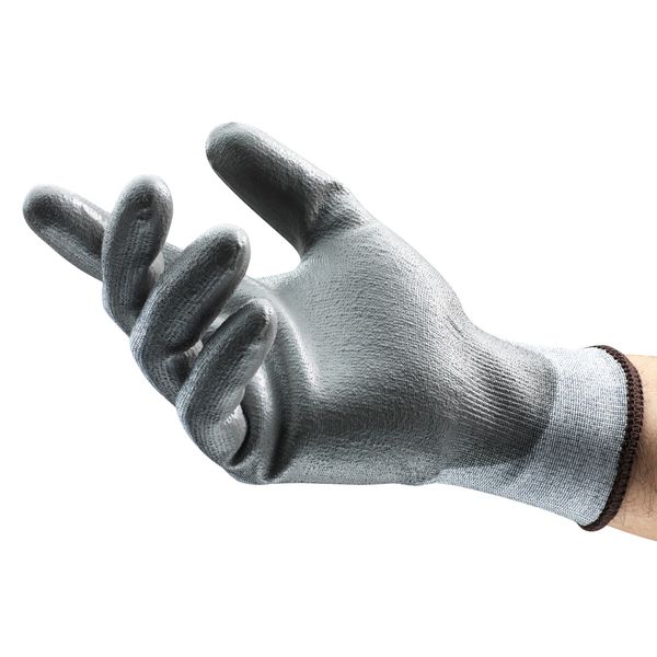 Cut Resistant Coated Gloves, A2 Cut Level, Polyurethane, XS, 1 PR