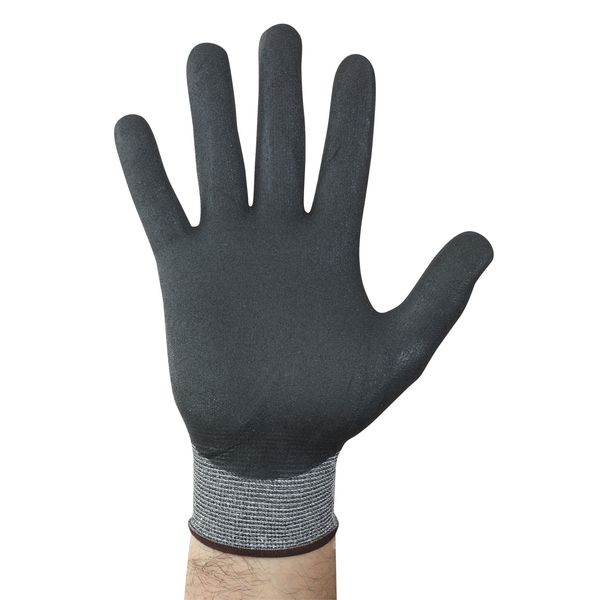 Cut Resistant Coated Gloves, A2 Cut Level, Nitrile, S, 1 PR