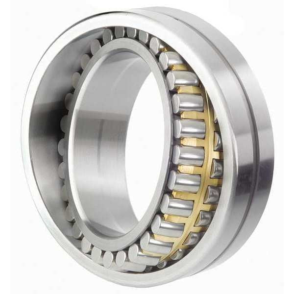 Double Row, 60mm, Tapered Bore, 110mm OD