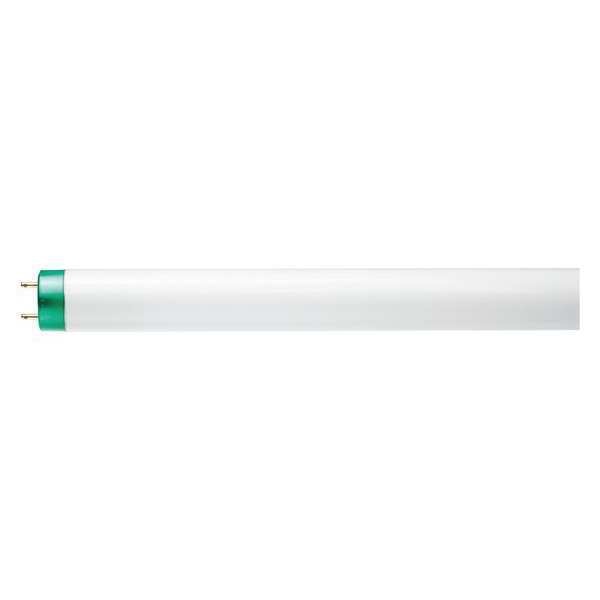 Linear Lamp, T8 Bulb Shape, 48