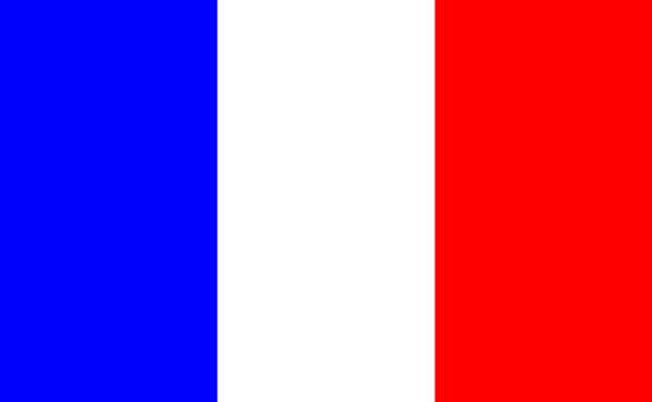 France Flag, 4x6 Ft, Nylon