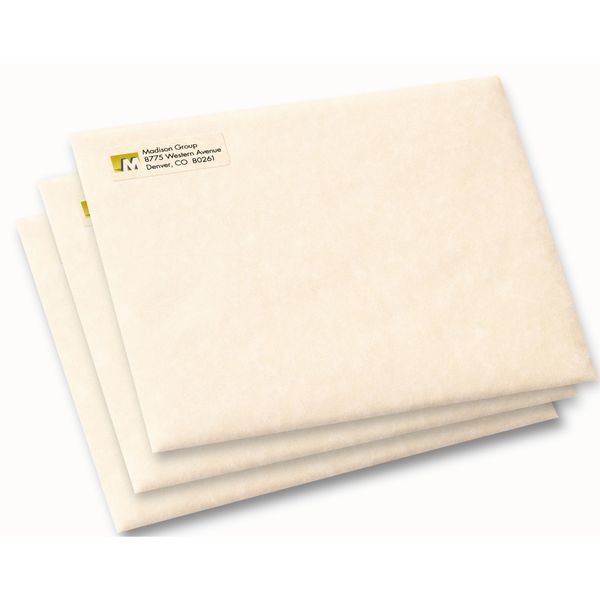 AveryÂ® Clear Easy PeelÂ® Return Address Labels for Inkjet Printers 8667, 1/2