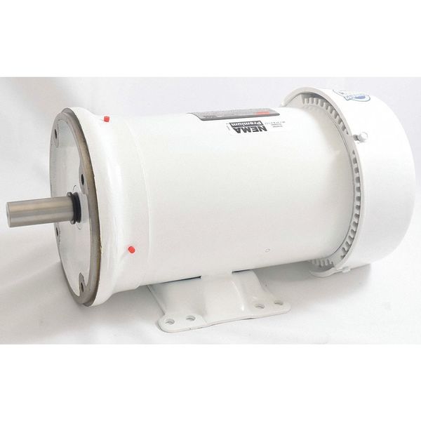 Washdown Motor, 3 Ph, TEFC, 3 HP, 3510 rpm