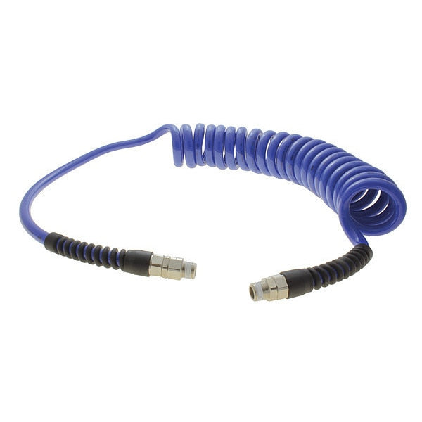 Coiled Air Hose Assembly, 3/8