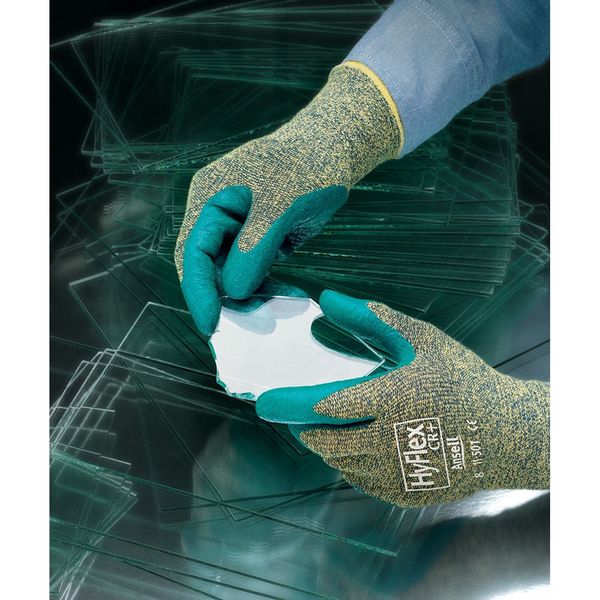 Cut Resistant Coated Gloves, A5 Cut Level, Nitrile, S, 1 PR