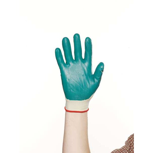 Nitrile Coated Gloves, Palm Coverage, Green, M, PR