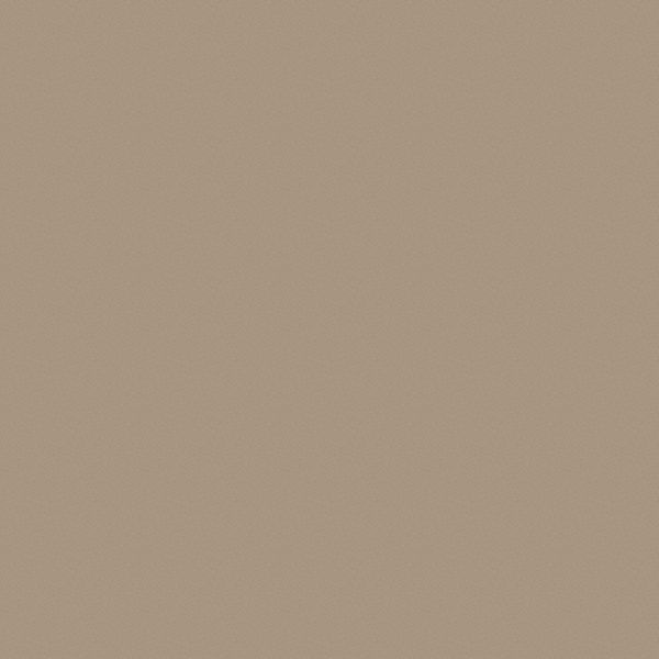 Spray Paint, Beige, Gloss, 12 oz