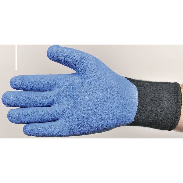 Coated Gloves, M, Black/Blue, PR