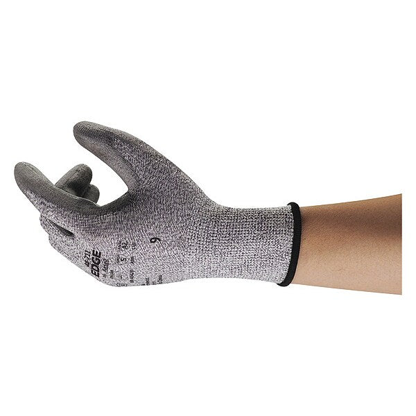 Cut-Resistant Gloves, XL