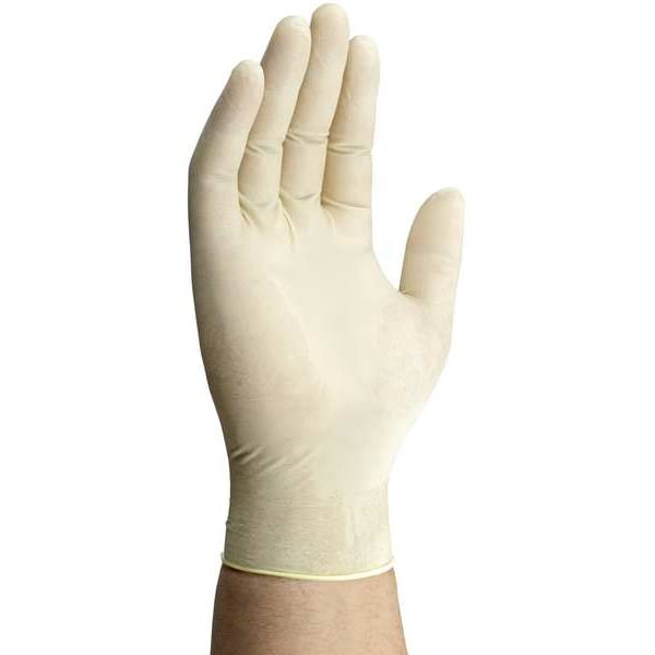Disposable Gloves, Latex, White, 100 PK
