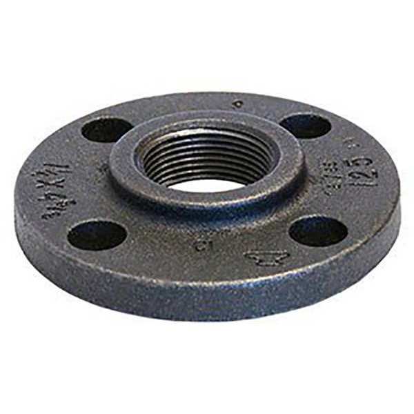Pipe Flange, Cast Iron, 2 1/2