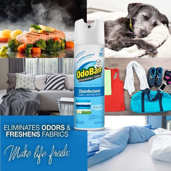 Disinfectant Fabric and Air Freshnr, PK6