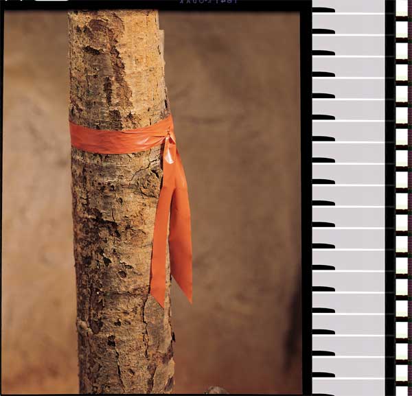 Taffeta Flagging Tape, Yellow, 300ft x 1In