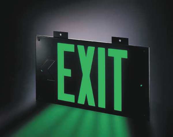 Exit Sign, 8 5/8 in x 15 7/8 in, Plastic