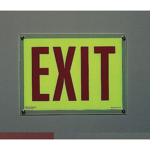 Fire Exit Sign, 10 in Height, 14 in Width, Fiberglass, English