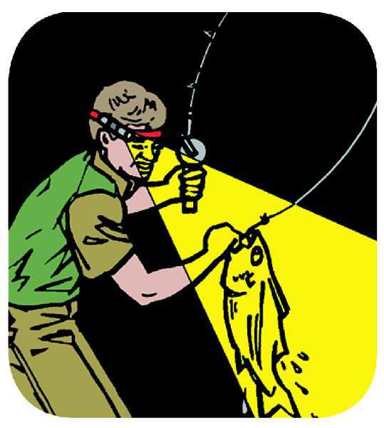 Headband Flashlight Holder, Black