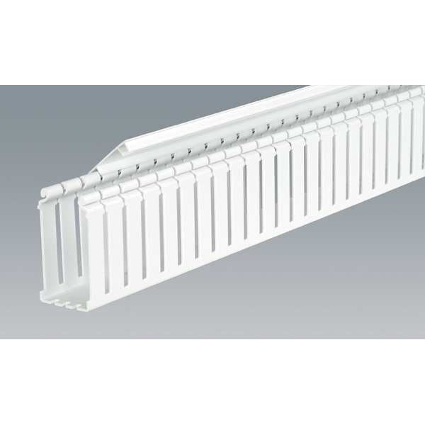 Wire Duct, Wide Slot, White, L 6 Ft