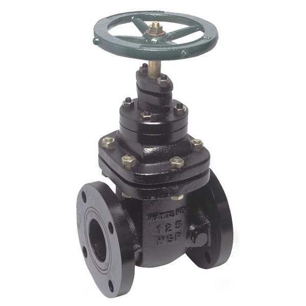 Gate Valve, Class 200, 2-1/2 In., Flange