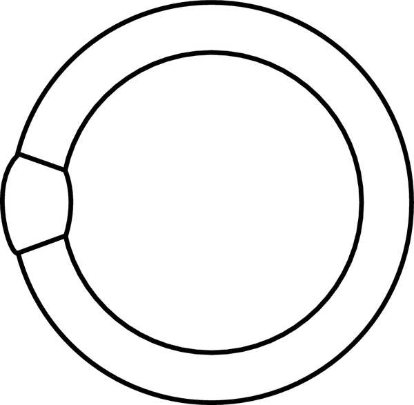 GE LIGHTING 22W, T9 Circular Fluorescent Light Bulb