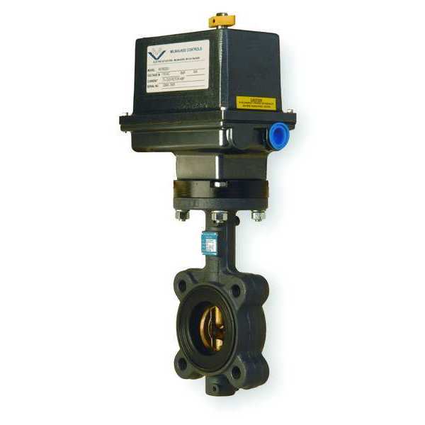 Butterfly Valve, Electric, Size 5 In