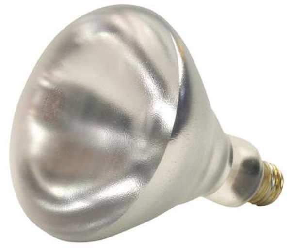 SHAT-R-SHIELD 250W, R40 Incandescent Light Bulb
