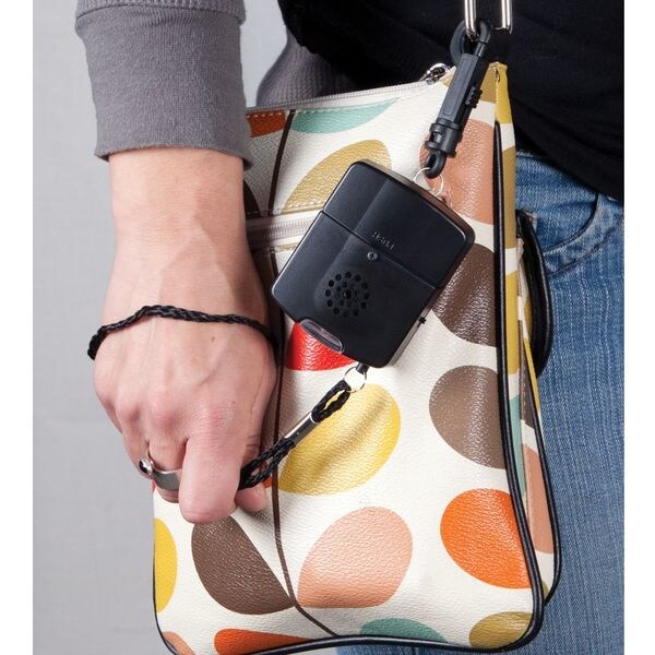 Handheld alarm with sound and light