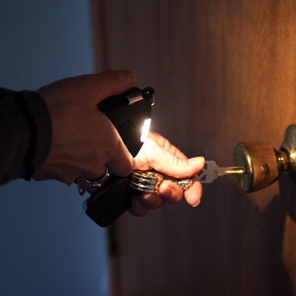 Handheld alarm with sound and light