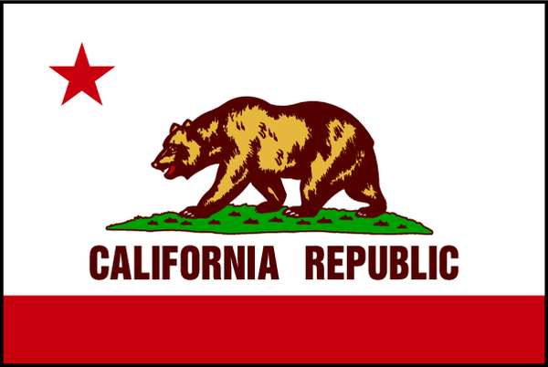 California State Flag,3x5 Ft (1 Units In