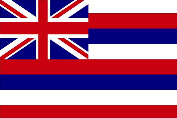 Hawaii State Flag,3x5 Ft (1 Units In Ea)