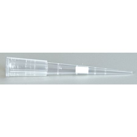Filtered Pipet Tip,20ul,50mm H,pk960 (1