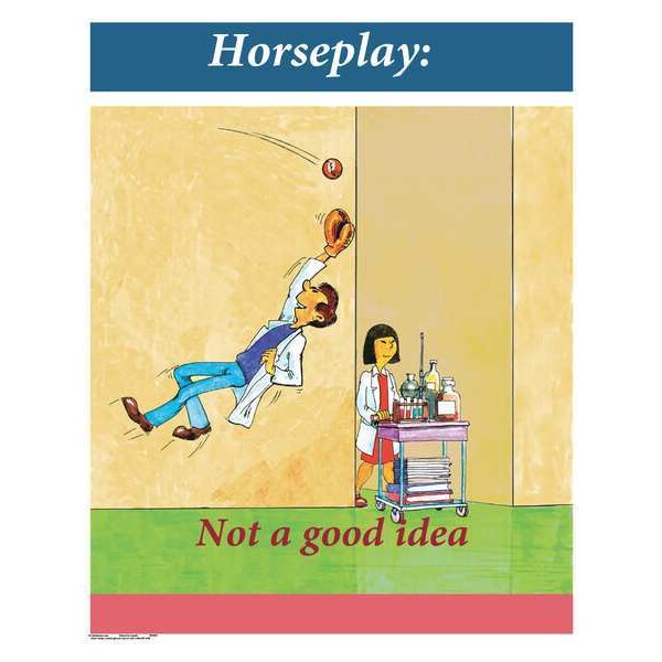 Safety Poster, Horseplay - Not A Good, EN