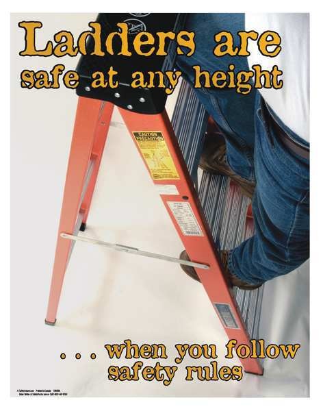 Safety Poster, Ladders Are Safe At Any, EN