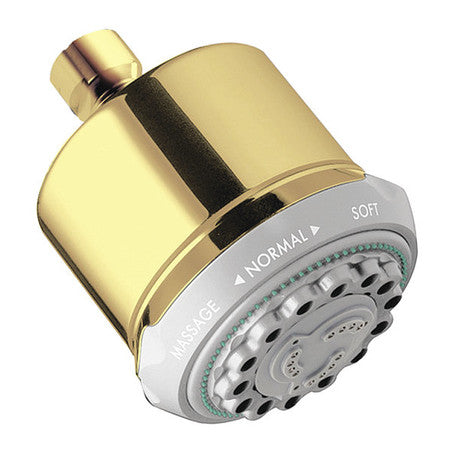 Clubmaster Shower Head,polished Brass (1